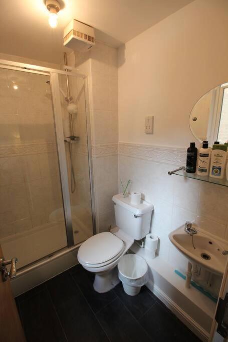 3 Bedroom Flat 10 Mins Walk To Bay And City Center Free Parking Cardiff Exteriör bild